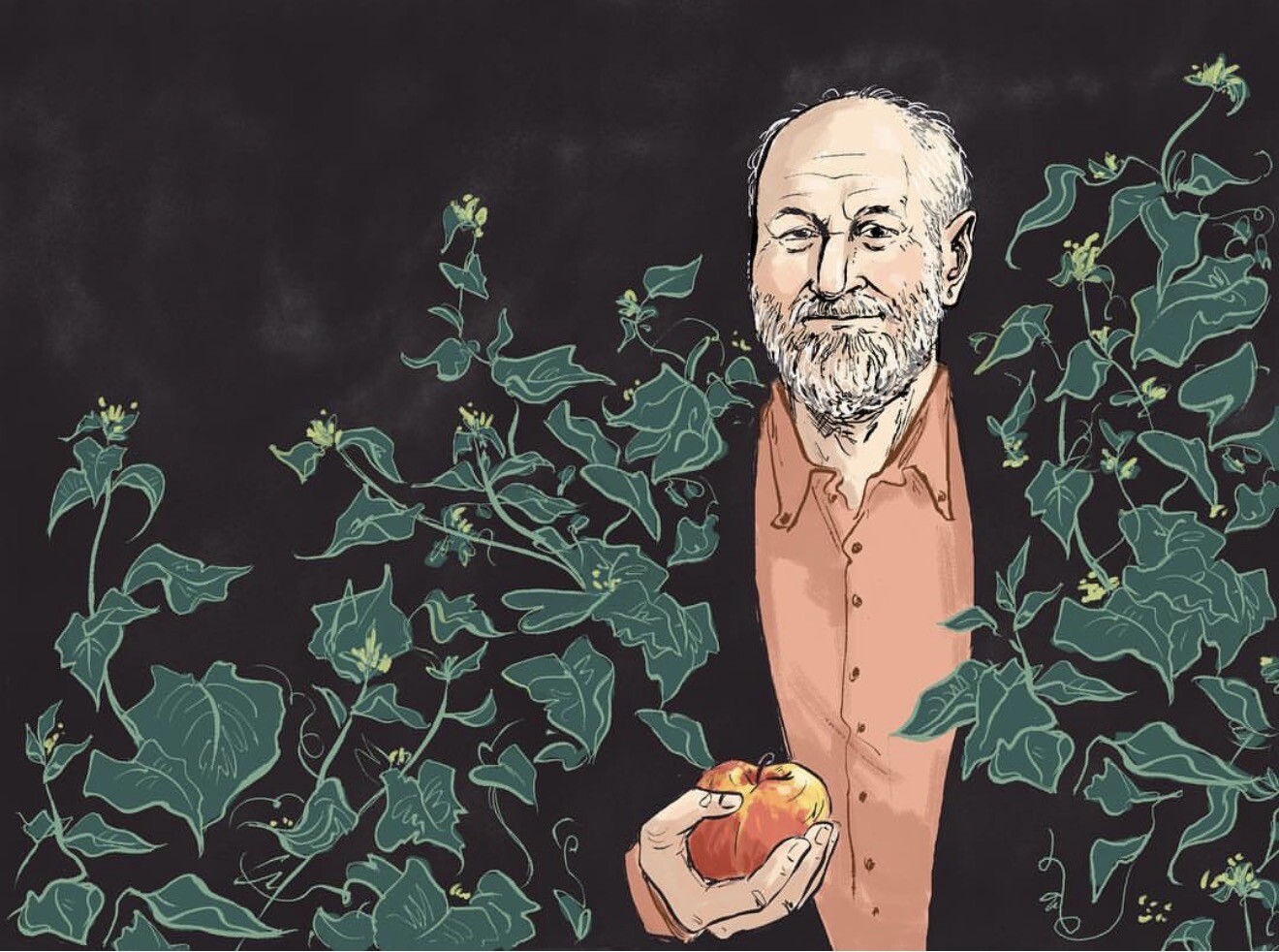 Illustrated portrait of André Aciman surrounded by flowering vines, holding an apple