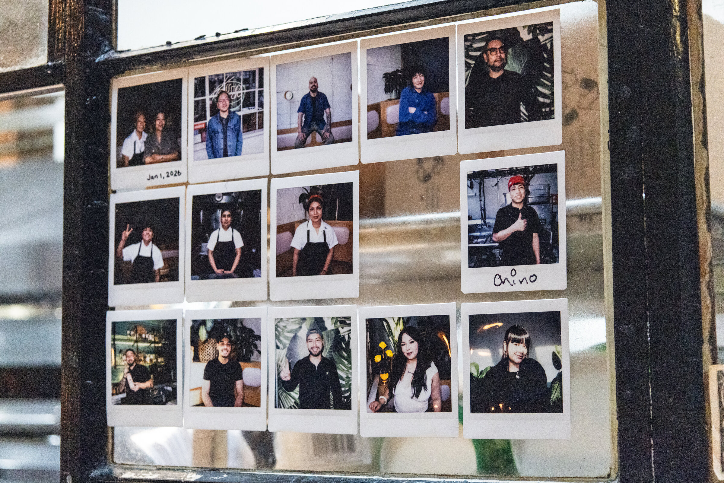 A display of staff and collaborator Polaroid portraits