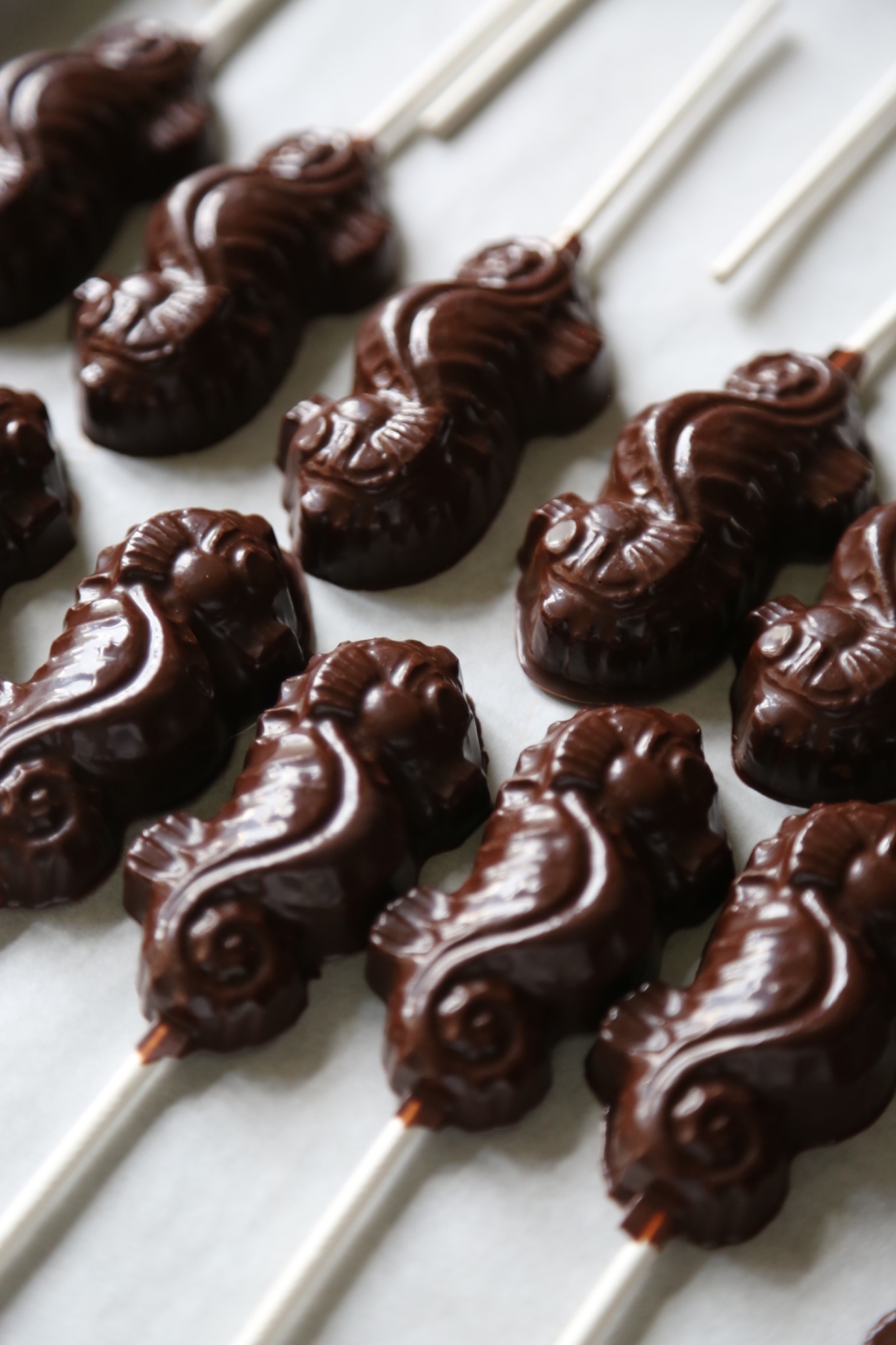 Rows of molded chocolates