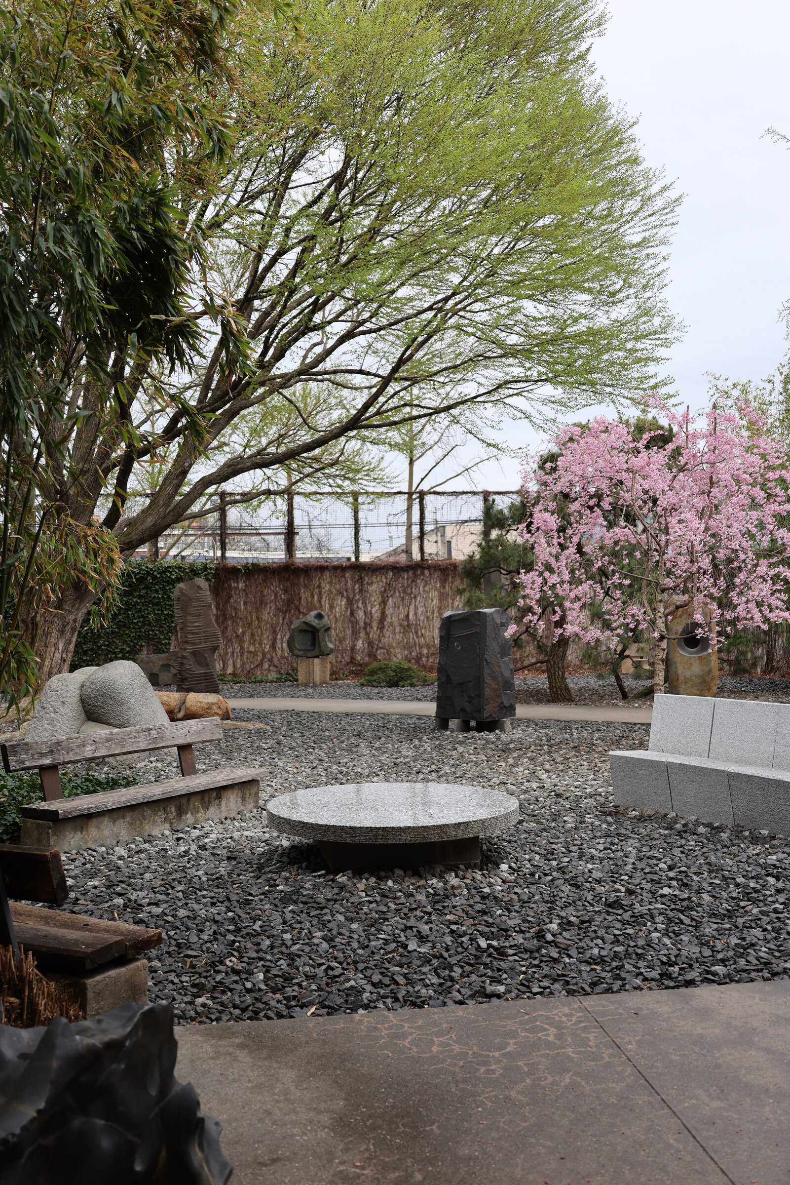 Wide spring view of stone sculptures, benches, and flowering trees in The Noguchi Museum garden