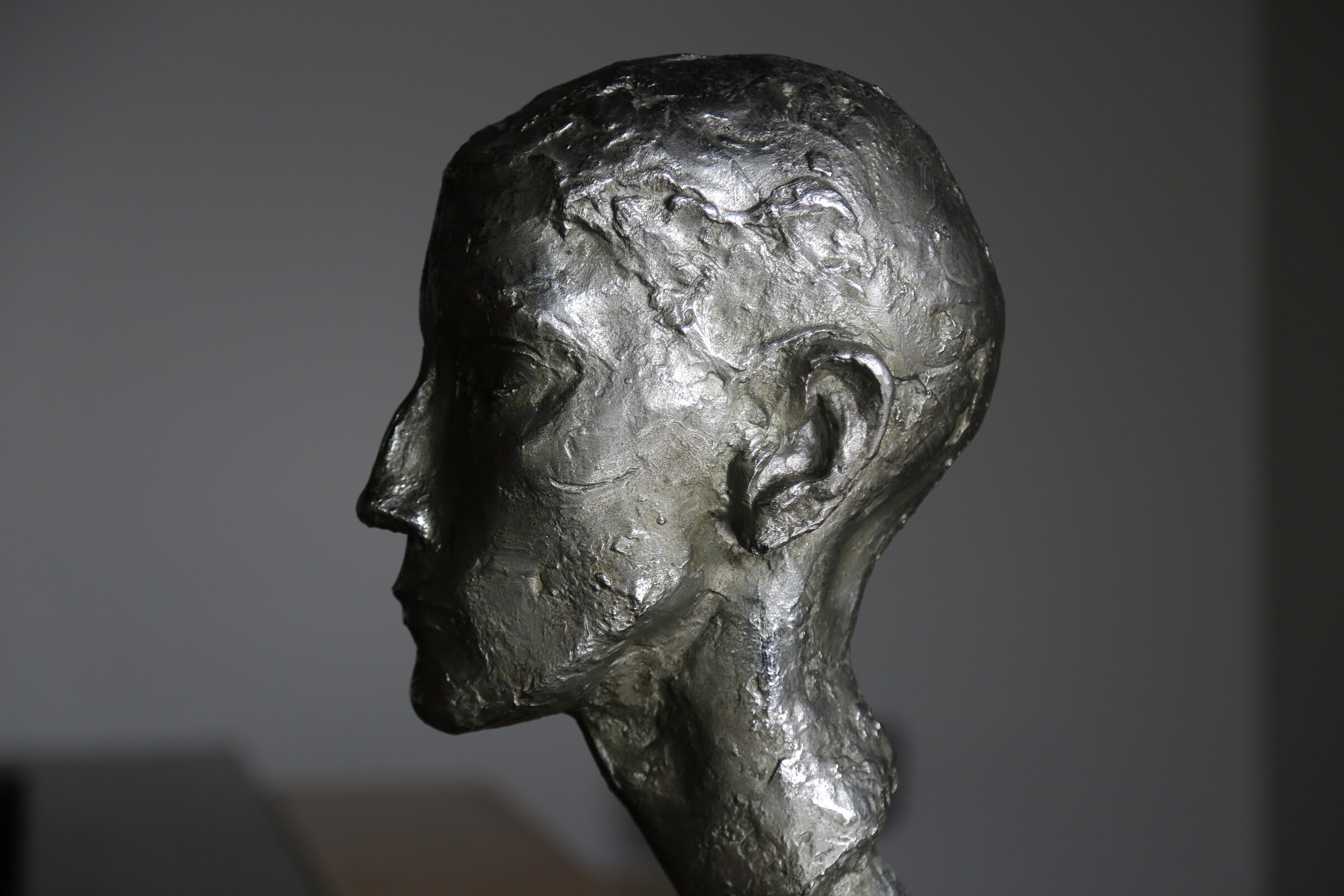 Profile view of a dark sculpted head against a gray background
