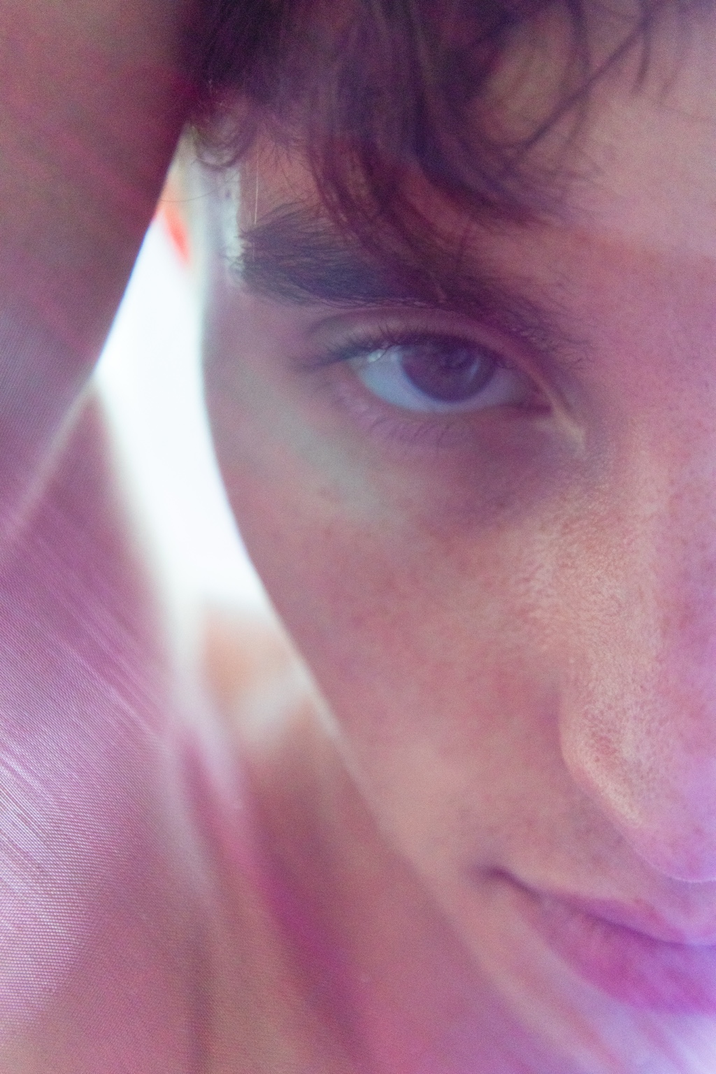 Close portrait of Ryder through violet fabric