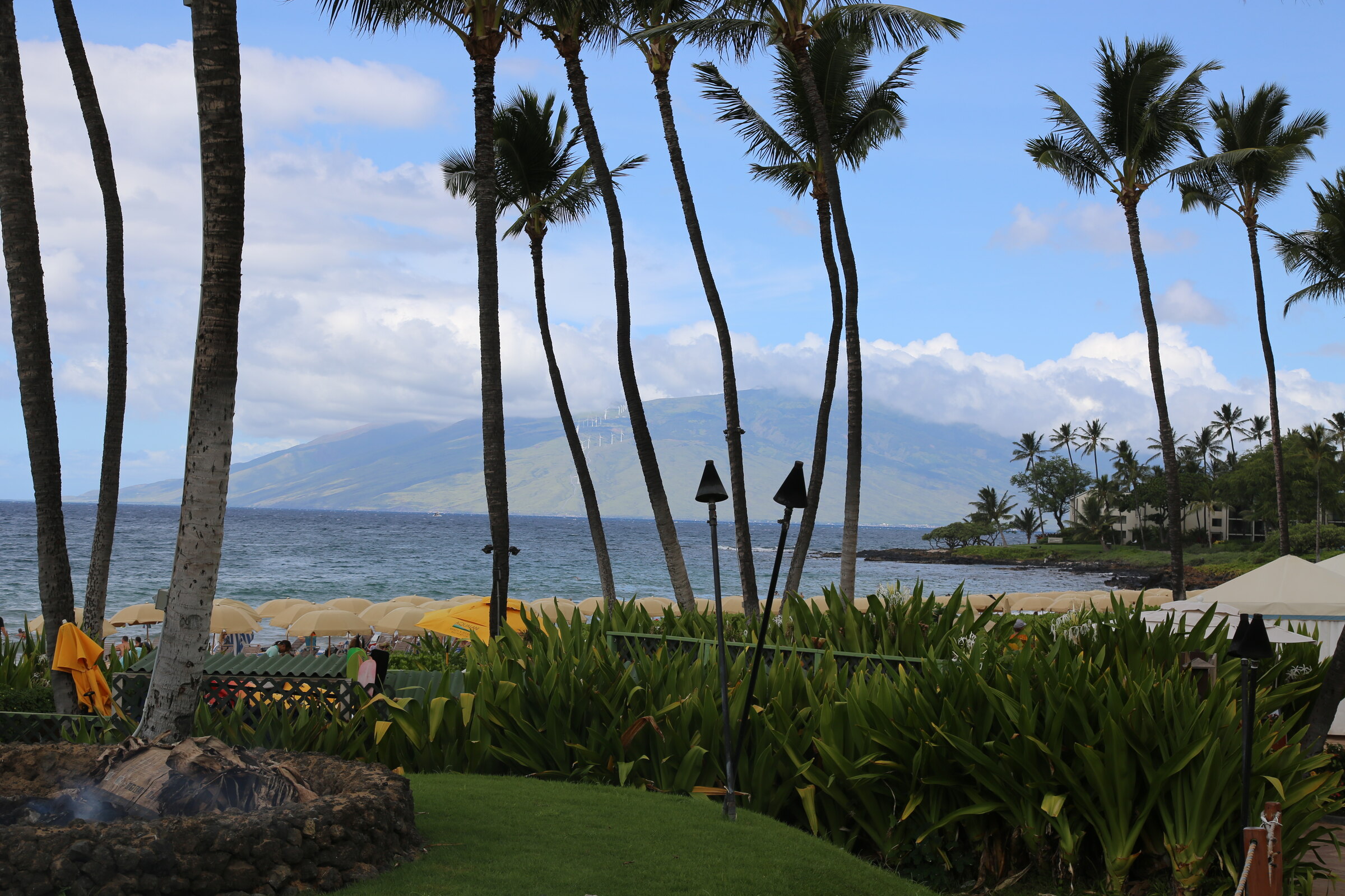 Palm trees framing the Pacific coast and neighboring island from Grand Wailea